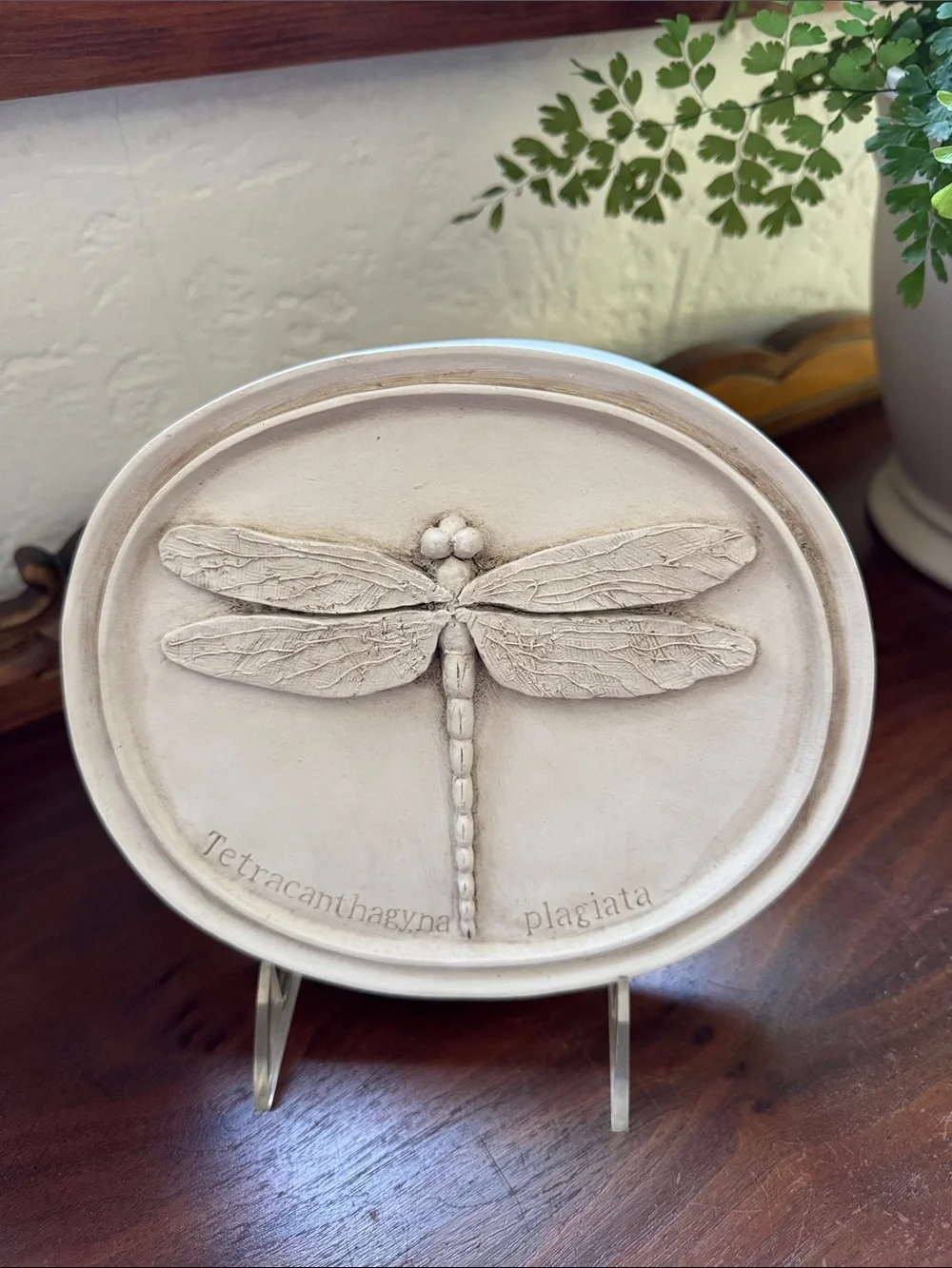 House Parts Inc Dragonfly Plaques Wall Decor One Set of Two (2)